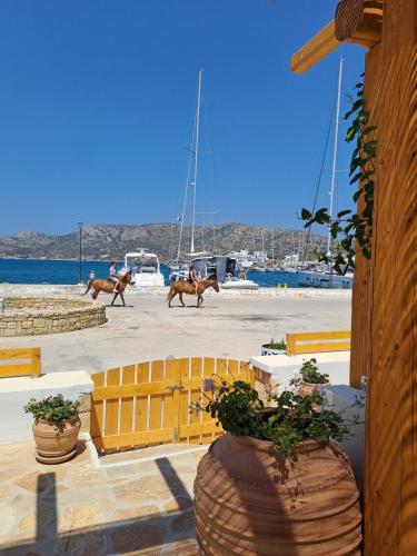 Thalassea house2 Lipsi