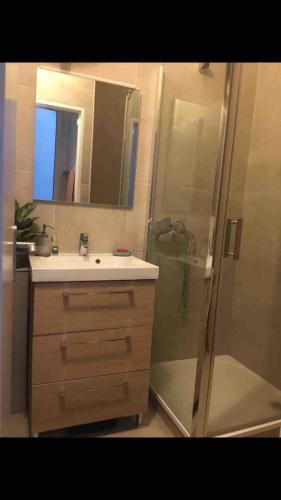 une salle de bain avec un lavabo et une douche avec un miroir dans l'établissement charmant 2 pièces, à Nice