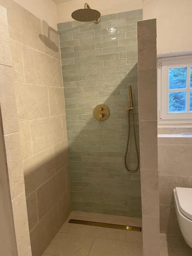 a bathroom with a shower with a toilet at Le Mas de Caroline in Gargas