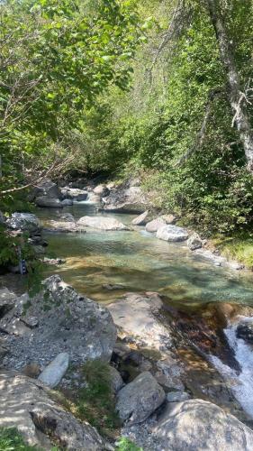 a stream of water with rocks and trees at Maison de charme au cœur d'Ax-Les-Thermes in Ax-les-Thermes