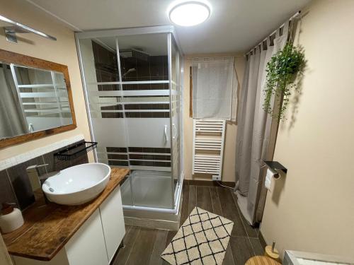 Koupelna v ubytování Mazot en Abondance