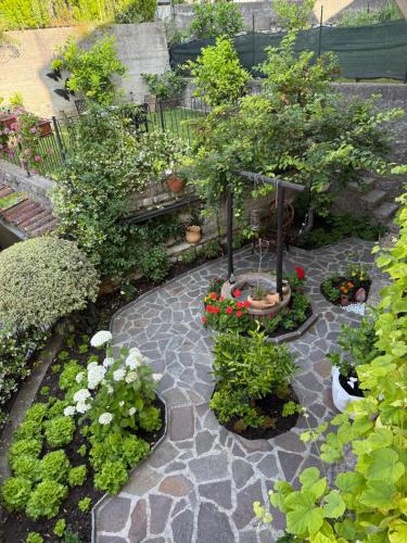 a garden with many plants and trees and flowers at Rustico cota in Tignale