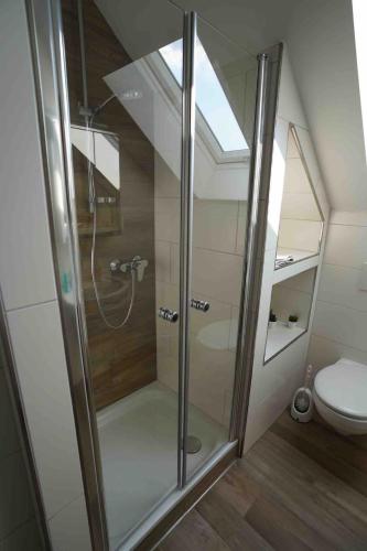 a bathroom with a shower and a toilet at Bella Casa am Rhein in Bad Honnef am Rhein