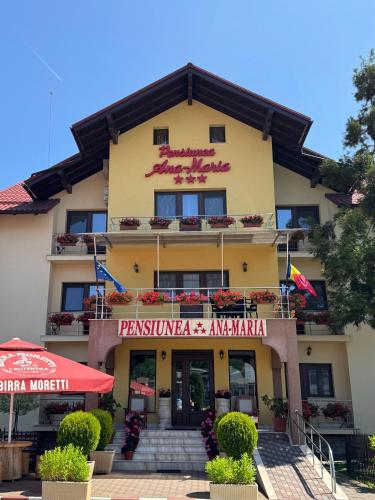 Pensiunea Ana Maria in Brad, Romania