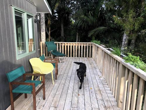 a black dog standing on a wooden deck at Queens Drive in Oneroa