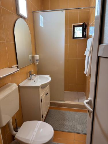 Un baño con inodoro, lavabo y ducha. en Pensiunea Ana Maria, en Brad