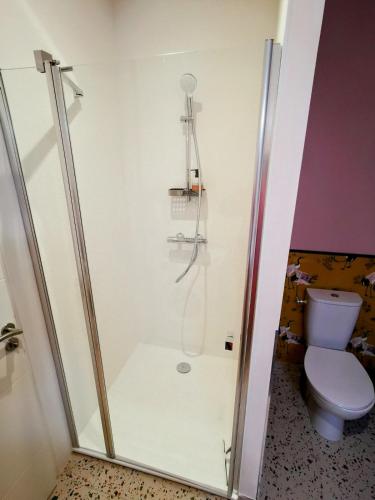 une salle de bain avec douche et toilettes dans l'établissement La Basque - un balcon au coeur de La Gacilly, à La Gacilly