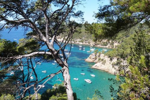 une vue d'une rivière avec des bateaux dans l'eau dans l'établissement Appartement à Bandol, à Bandol