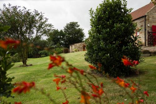 a garden with red flowers in front of a house at Rosecombe, Borrowby Farm Cottages in Staithes