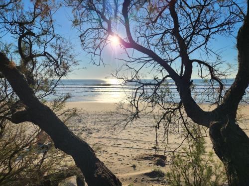 Gallery image of ELEVENLIGHTS-COSTABALLENA Garden View in Costa Ballena