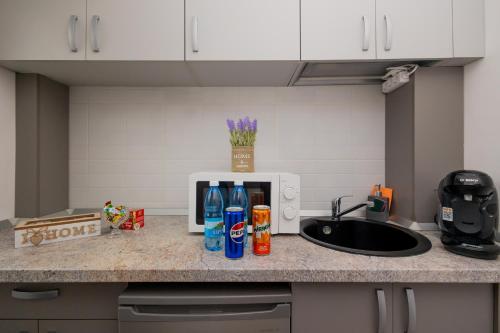 Dapur atau dapur kecil di Urban Escape Arad
