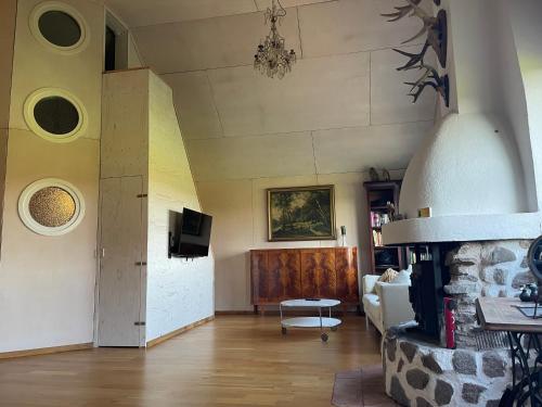 a living room with a couch and a fireplace at Upscale Hideaway in Converted Barn in Vireda