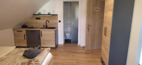 Η κουζίνα ή μικρή κουζίνα στο MaxLux Apartments