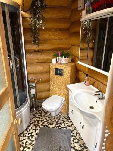 a bathroom with a toilet and a sink at Jōekalda in Langa