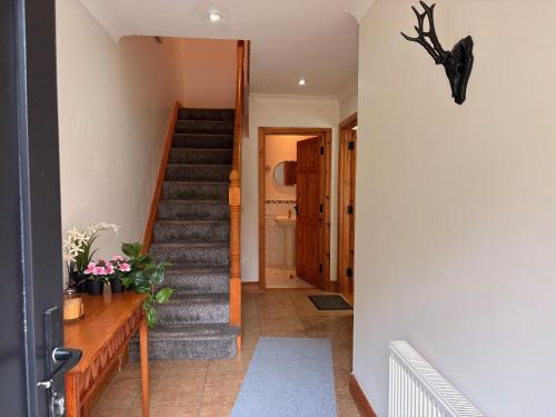 a staircase in a house with a stair case at Spacious two bedroom home. Easy stroll from Kenmare town in Kenmare