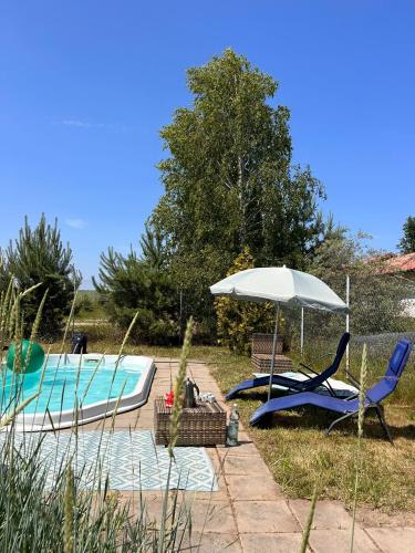 a patio with two chairs and an umbrella and a pool at Apartamenty i Winnica - Siedlisko Na Polanie in Lipka Wielka