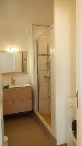une salle de bain avec douche et lavabo dans l'établissement Gîte Libellule, à Vaux-sur-Mer
