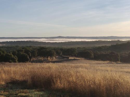 a field of tall grass with a view of the ocean at Monte do Roque in Évora Monte