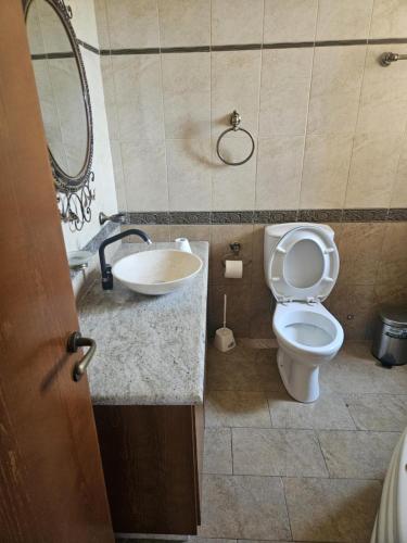 a bathroom with a toilet and a sink and a mirror at Kallithea Villa in Kato Yialia