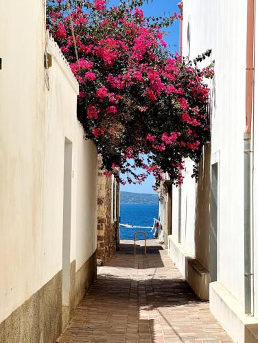 a narrow street with pink flowers hanging from buildings at Il Maestralino, nice apartment with courtyard in Calasetta