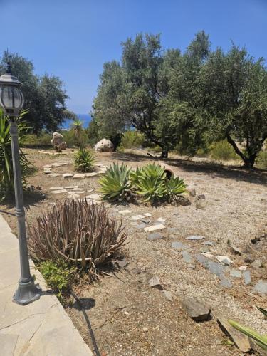 a street light next to a garden with plants at Kallithea Villa in Kato Yialia