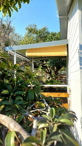 a building with awning and plants in front of it at Palm Activity in Saint-Pierre