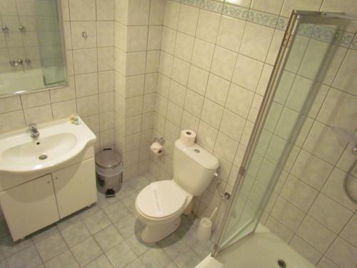 a bathroom with a toilet and a sink and a shower at Porto Fico Hotel in Vasiliki