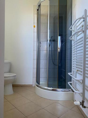 a bathroom with a shower and a toilet at Dom Wczasowy Aleksandra in Niechorze