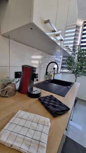 une cuisine avec un évier et un plan de travail dans l'établissement La perle du Lion, à Belfort