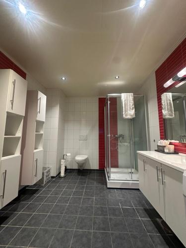 a bathroom with a shower and a sink and a toilet at Lofoten Retreat Apartment in Leknes
