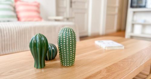 deux cactus verts posés sur une table basse dans l'établissement Hypercenter - At the foot of the Palais des Papes, à Avignon