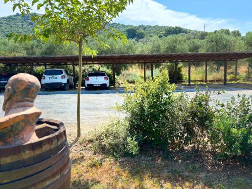 a parking lot with two cars parked in it at Nonna Nara Bed & Breakfast in Grosseto