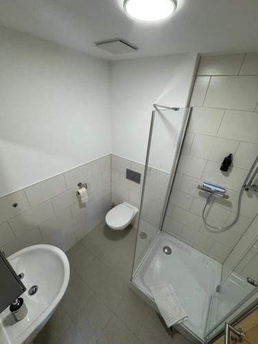 a bathroom with a shower and a toilet and a sink at Herberge in der Orangerie auf dem Schlossgut Altlandsberg in Altlandsberg
