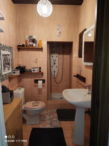 une salle de bain avec une douche, un lavabo et des toilettes dans l'établissement cosy, zen, télétravail cool, à Ville-sur-Yron