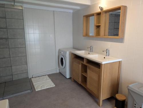 une salle de bain avec un lavabo et une machine à laver dans l'établissement La Maison du Bourg, à Saint-Vivien