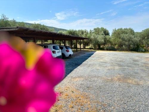 a parking lot with two cars parked under a shed at Nonna Nara Bed & Breakfast in Grosseto
