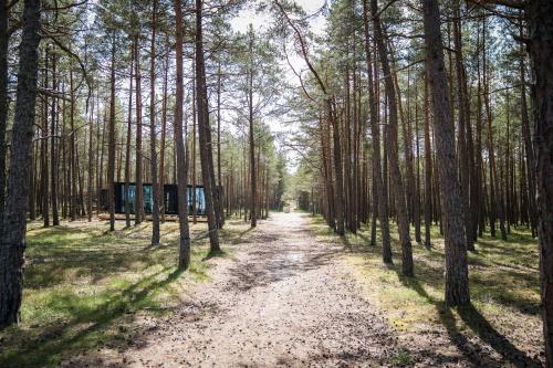 a dirt road in a forest with tall trees at Rahusalu Calm in Laulasmaa