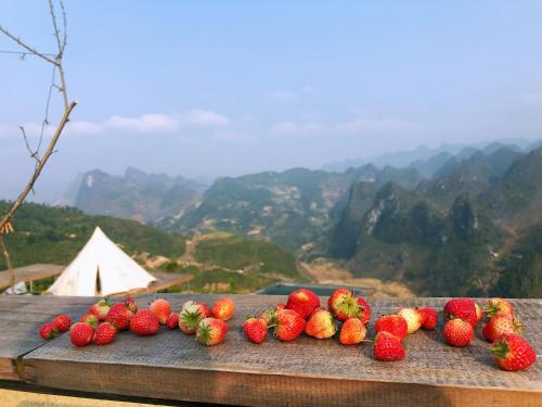 a bunch of strawberries sitting on a table with a view at Sunrise Ha Giang Camping An Introspective Stay in Suy Tung Su
