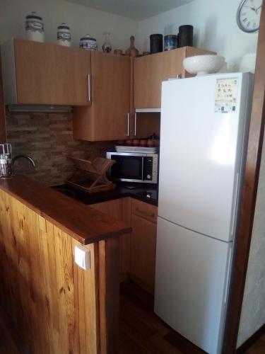 - un réfrigérateur blanc dans une cuisine avec des placards en bois dans l'établissement Joli studio aux pieds des pistes, à Allos