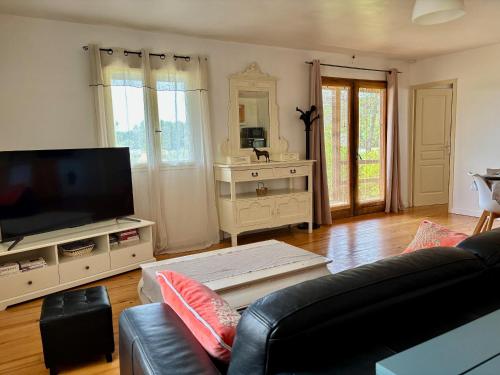 un salon avec un canapé et une télévision à écran plat dans l'établissement Charmant chalet, à Lorgues
