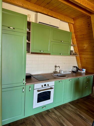 a kitchen with green cabinets and a sink at Piva Paradise in Pluzine