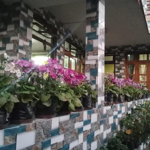 Un jardín fuera de Pranav Home - Stay