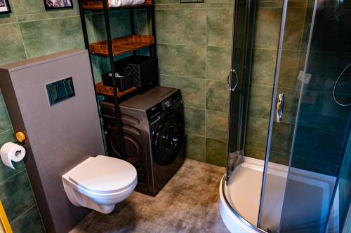 a bathroom with a washing machine and a shower at Monialuki in Nogat