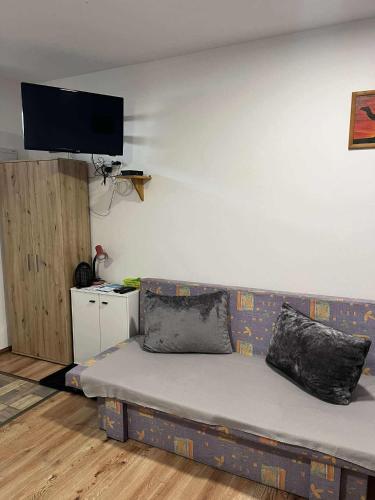 a couch sitting in a living room with two pillows at BeKiVi apartmány in Dunajská Streda