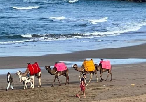 Natuurlandschap vlak bij het appartement