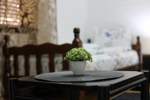 a potted plant on a table in a bedroom at Vila Panorama in Pirot