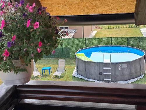 Bazén v ubytování Apartman Dimitrijevic nebo v jeho okolí