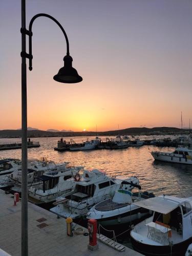 a group of boats docked in a marina at sunset at Lilly's house in Murta Maria