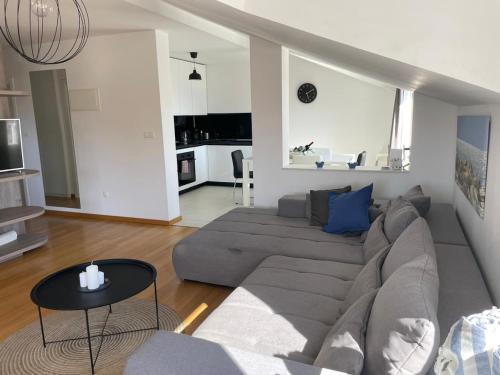 Olive Tree by the Sea