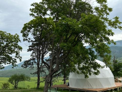 a large white dome tent under a tree at Loreni Garden in Getahovit
